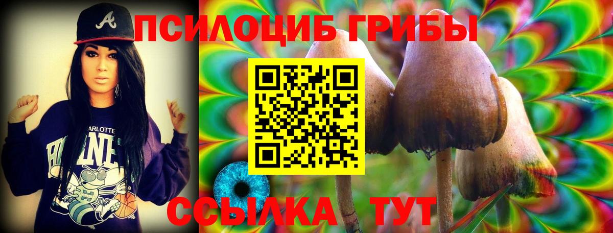 Галлюциногенные грибы мицелий  Вход с VPN  Сорочинск 